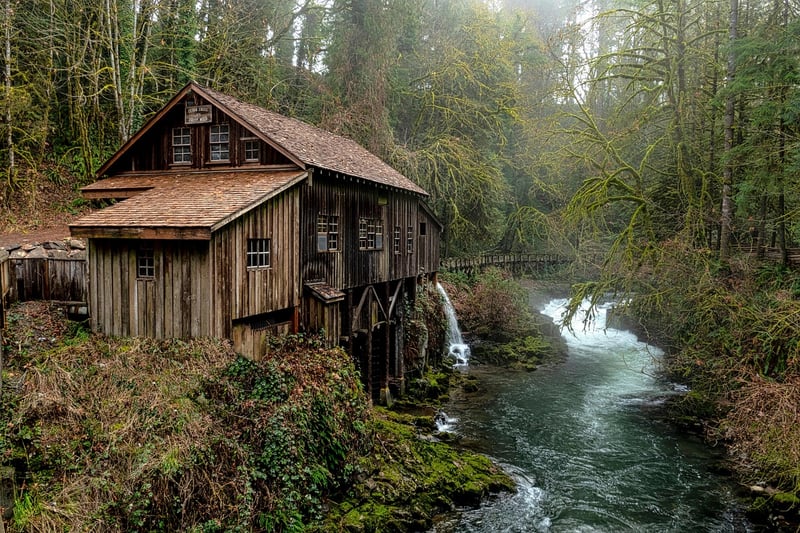 Forest Cabin
